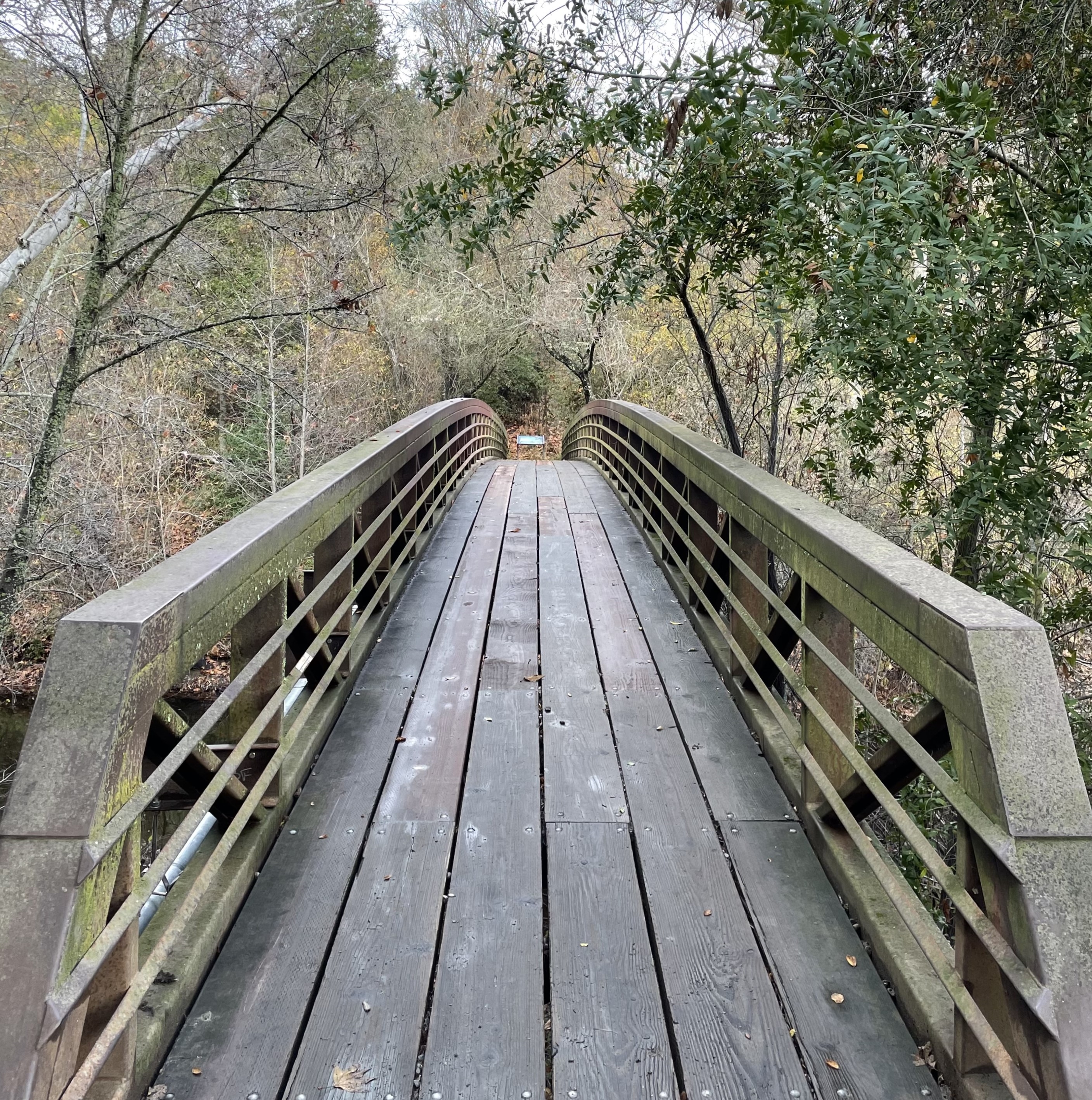 bridge hiking picture