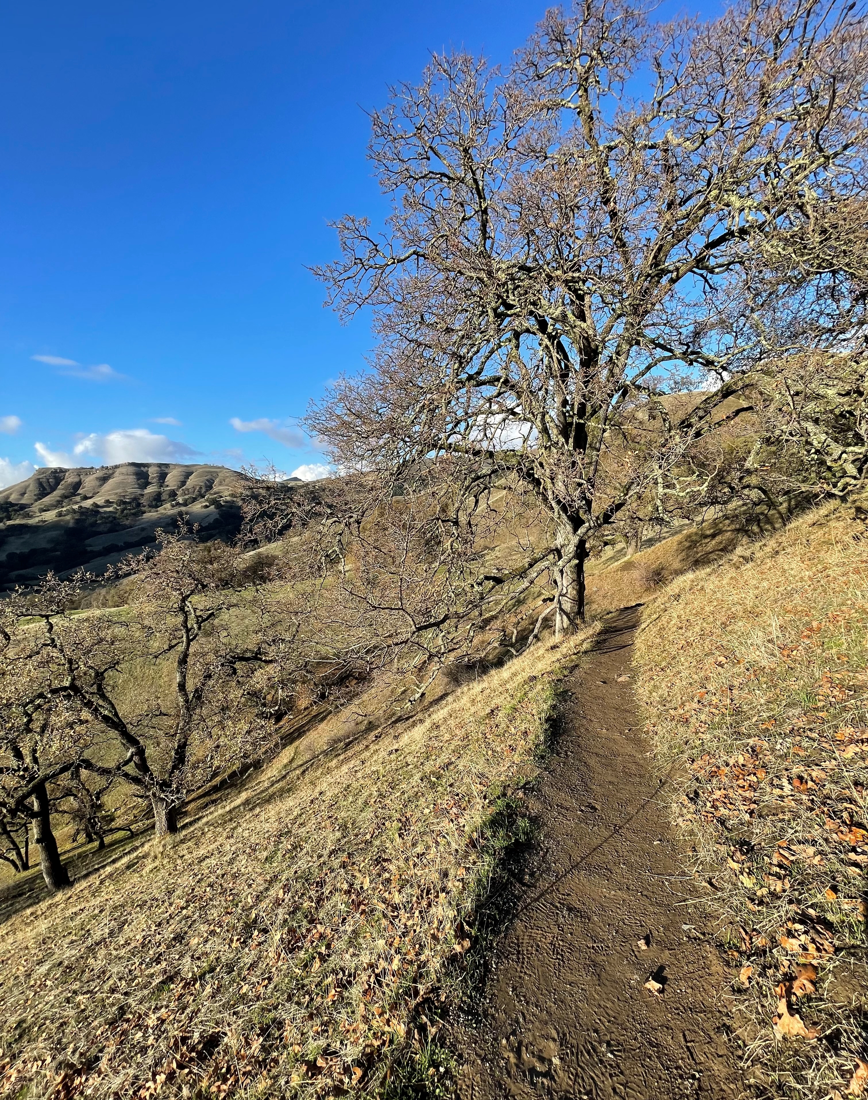 dev hiking trail