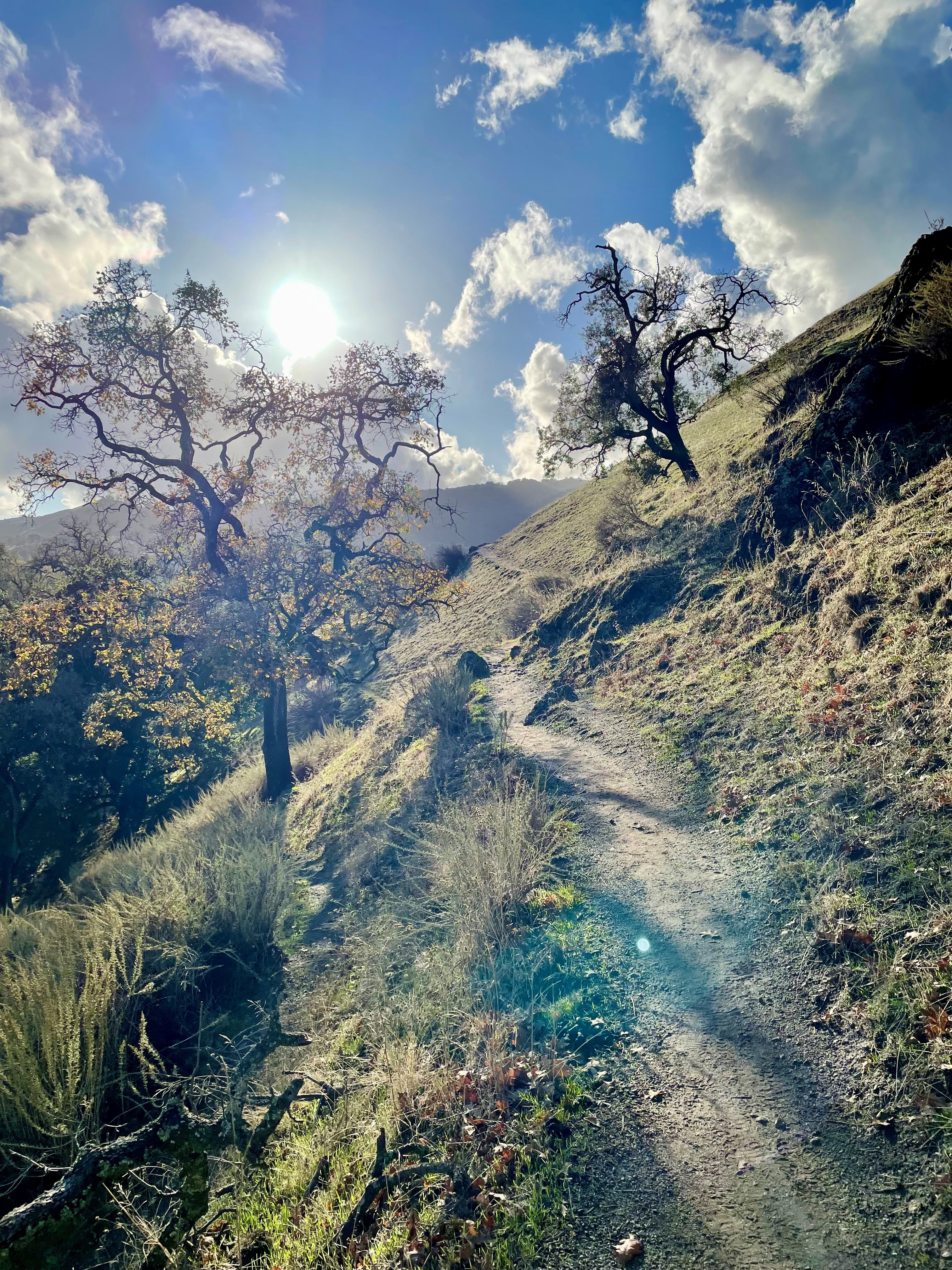 dev hiking trail